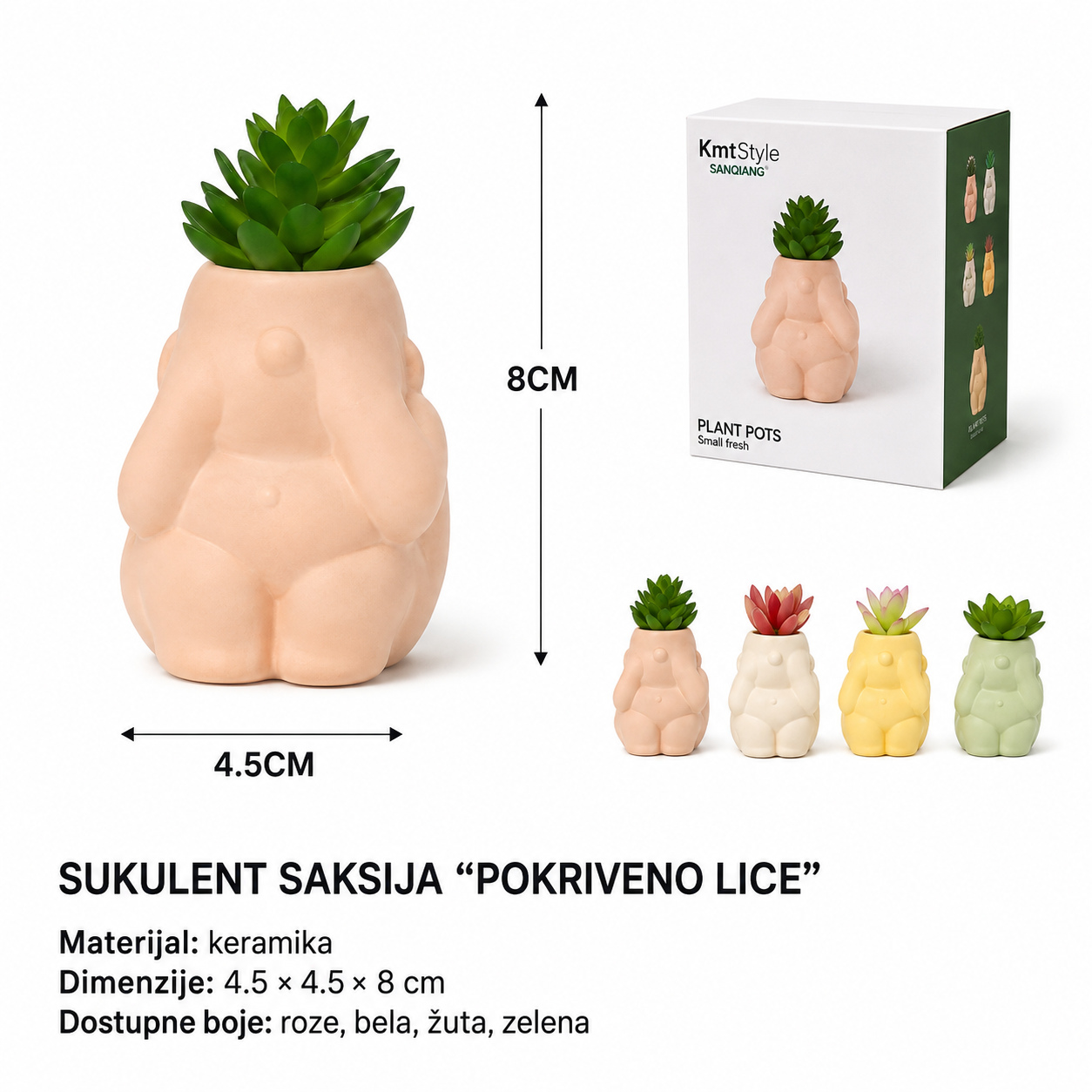 多肉小盆栽
