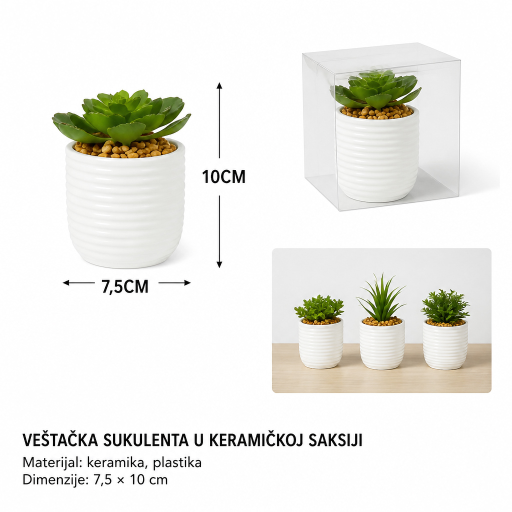 KMT Mala saksija sa sukulentom 702322